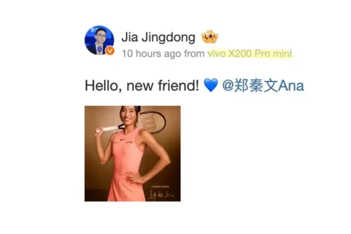 Will vivo X200 Pro Mini Be Unveiled Soon?